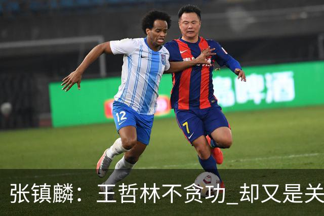 张镇麟：王哲林不贪功 却又是关键时刻能站出来的人 队长当之无愧